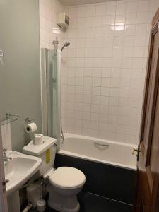 a bathroom with a toilet and a shower and a sink at The Olde Swan Hotel in Chertsey