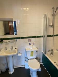 a bathroom with a toilet and a sink at The Olde Swan Hotel in Chertsey