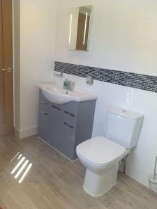 a bathroom with a white toilet and a sink at Lanarth Chalet in Hayle Cornwall in Hayle