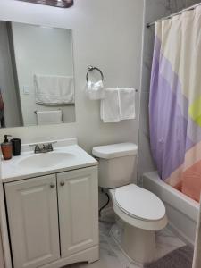 a bathroom with a toilet and a sink and a mirror at Seeing Busch Gardens from two apartments in Tampa