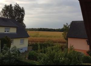 a view of a farm with two houses and a field at gite La Forêt in Ungersheim