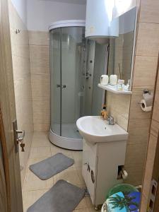 a small bathroom with a shower and a sink at Apartament Costescu in Băile Herculane