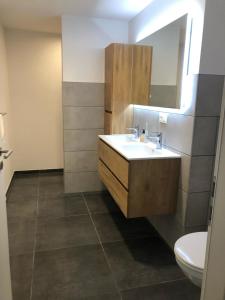 a bathroom with a sink and a toilet at Cedrien Appartement met terras in La-Roche-en-Ardenne +18 photos