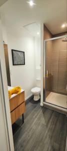 ein Bad mit einer Dusche, einem WC und einem Waschbecken in der Unterkunft Appartements à thème in Clermont-Ferrand