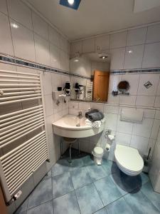 y baño con lavabo y aseo. en Hotel-Landpension Postwirt, en Kirchensittenbach