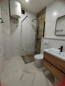 uma casa de banho com um chuveiro, um WC e um lavatório. em Brzica Saplunara em Saplunara