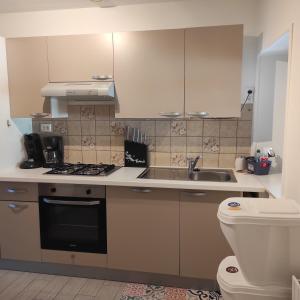 a kitchen with a sink and a stove top oven at Gîte chez CNYL in Wissembourg