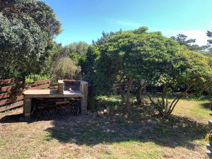 un tavolo di legno seduto sull'erba accanto a un albero di L' Elicriso, a pochi passi dal mare con giardino privato - The Elicriso, a few meters from the sea, with private garden a Stintino