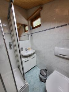 un piccolo bagno con servizi igienici e lavandino di Zauberhaftes Chalet mit Whirlpool, Berg & Seesicht a Brienz