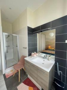 un bagno con lavandino, doccia e specchio di Emplacement idéal Confort et tranquillité a Boulogne-sur-Mer Altre 25 foto