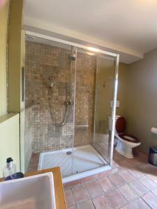 a bathroom with a shower and a toilet at LPSV Experience B&B in La Palud sur Verdon in La Palud-sur-Verdon