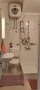 e bagno con servizi igienici, lavandino e doccia. di Apartment Zlatko a Šibenik