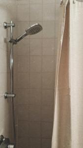 a shower with a shower head next to a shower curtain at Lille hygge in Leck