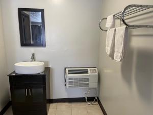 W łazience znajduje się umywalka, lustro i umywalka. w obiekcie Wooden Shoe Motel w mieście Holland