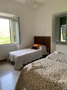 Camporgiano的住宿－Birillina al Poggio，一间带三张床和两扇窗户的卧室