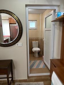 a bathroom with a toilet and a mirror at VİLLA DALAMAN in Dalaman