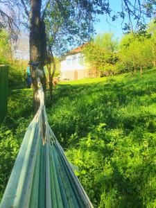 a green hammock in a yard with a tree at Casa La Casiru in Straja