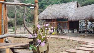 Homestay Highland Hmong في Hòa Bình: مزهرية مليئة بالورود الأرجوانية أمام المبنى