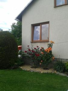 Zahrada ubytování Apartmán Rézi