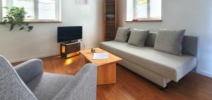 a living room with a couch and a tv at Sinsheim Ferienwohnung in Sinsheim