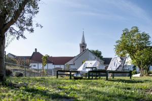 two benches in the grass in front of a church at Sadje in Rust