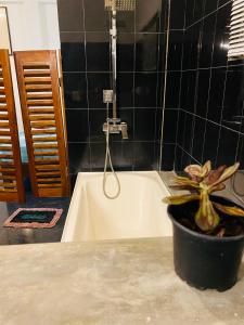 a potted plant sitting on top of a bath tub at The Shade Brothers in Katunayaka