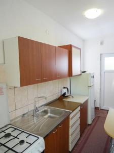 Kuchyň nebo kuchyňský kout v ubytování Studio Apartment Maršić