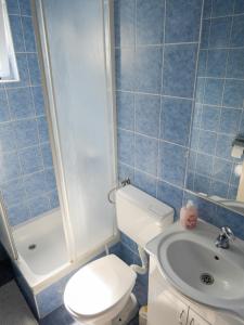 y baño con aseo, ducha y lavamanos. en Studio Apartment Maršić en Zaostrog