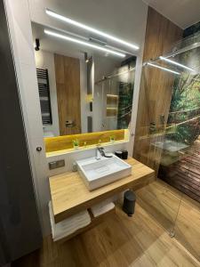 Kúpeľňa v ubytovaní APARTAMENT DĄBSKA 24 TAURON ARENA
