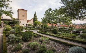 un giardino di fronte a una chiesa con torre di Apartment Zlatko a Šibenik