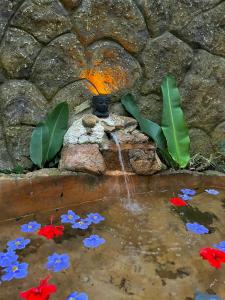 a water fountain with blue flowers in a pond at CERRO TUSA SPRINGS in Venecia