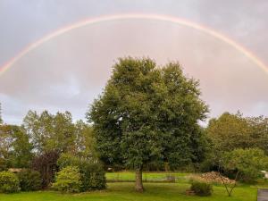 einen Regenbogen über einem Feld mit einem Baum in der Unterkunft Les Embreoles in Clitourps