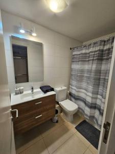 La salle de bains est pourvue d'un lavabo, de toilettes et d'un miroir. dans l'établissement Estancia Perfecta en Los Andes, à Los Andes