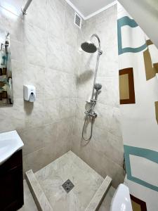 ein Bad mit einer Dusche, einem Waschbecken und einem WC in der Unterkunft Casa D'ANA in Geoagiu-Băi