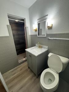 ein Bad mit einem WC, einem Waschbecken und einer Dusche in der Unterkunft Red Lotus Inn in Milwaukee
