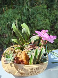 un tazón lleno de plantas y flores en una mesa en Taumi House, en Puli