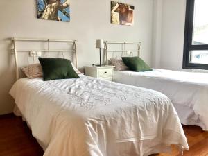 Duas camas com lençóis brancos e almofadas verdes num quarto em Tranquilo y acogedor piso con encanto em Vegadeo