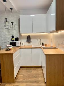 Kuchnia lub aneks kuchenny w obiekcie REMAR - Apartamentai prie Necko Ežero