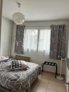 聖普列斯特的住宿－Appartement de 80m2 aux portes de Lyon avec ascenseur, balcon, parking，一间卧室设有一张床和两个窗户。