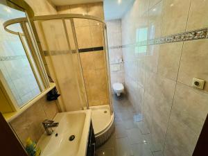 a bathroom with a shower and a sink and a toilet at Monteur Home in Solingen
