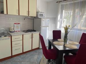 Il comprend une cuisine équipée d'une table, de chaises et d'un réfrigérateur. dans l'établissement Apartments Arina, à Krasići