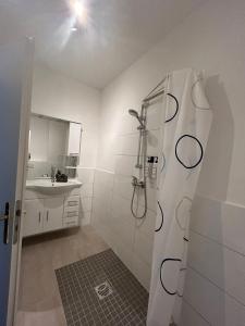 a bathroom with a shower and a sink at Villa Rathenow in Rathenow