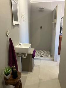 a bathroom with a sink and a shower at Stellies Accommodation - Room 2 in Keetmanshoop +32 photos