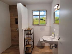a bathroom with a sink and a toilet and a window at Neues 2 Zimmer Schmuckstück in Ergetsweiler