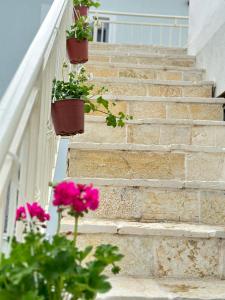 a set of stairs with flower pots on them at Mediterranean Villa Old Town in Vlorë