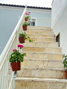 a stairway with potted plants on it at Mediterranean Villa Old Town in Vlorë