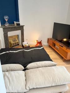 - un salon avec un canapé et une télévision dans l'établissement Le petit toulousain chic, à Toulouse