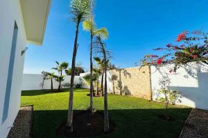 un groupe de palmiers dans une cour dans l'établissement Villa Darline Maison Design Piscine chauffée, à Essaouira