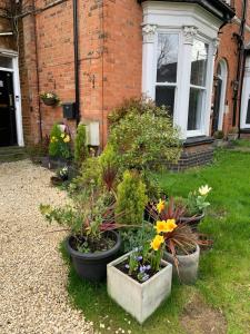 a group of potted plants in front of a building at The Loft at York House in Birmingham