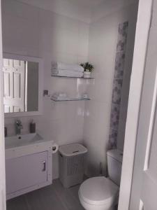a white bathroom with a toilet and a sink at Gated Riverside Studio Apartment in San Juan